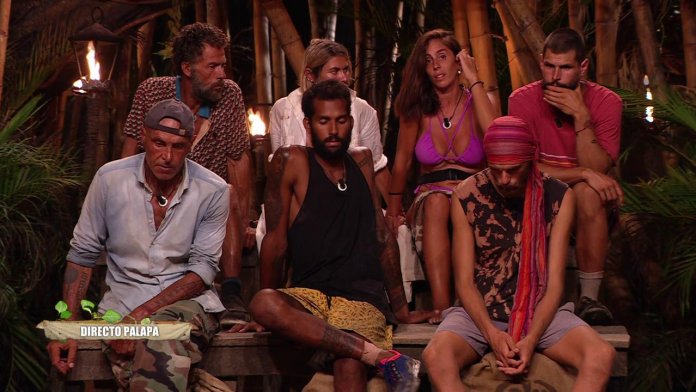 Nominados gala 11