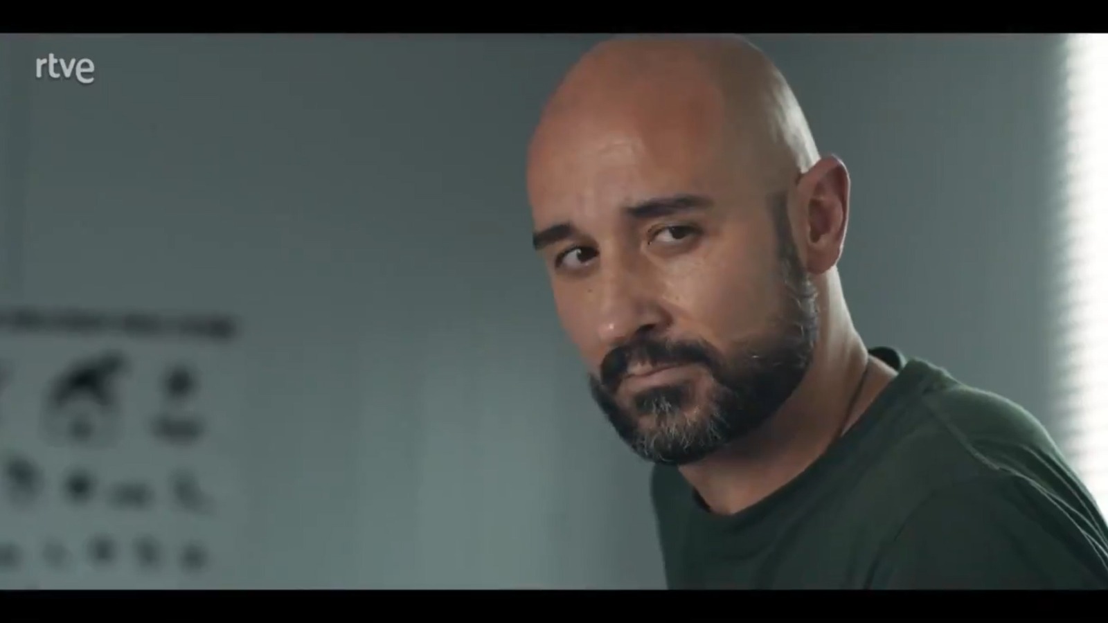 Fuerza de Paz TVE