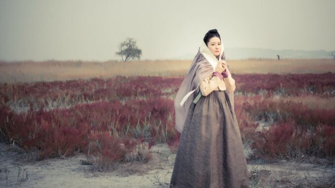 Saimdang diario de luz Nova